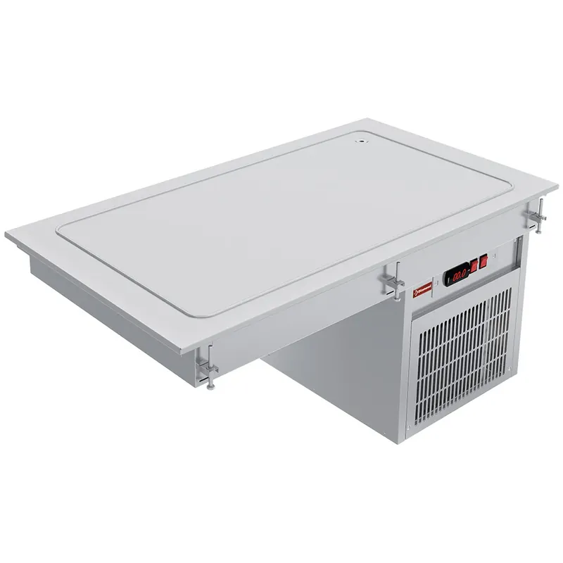 Element Kühlplatte 2x GN 1/1 - IN/RPX08-R9 Sale
