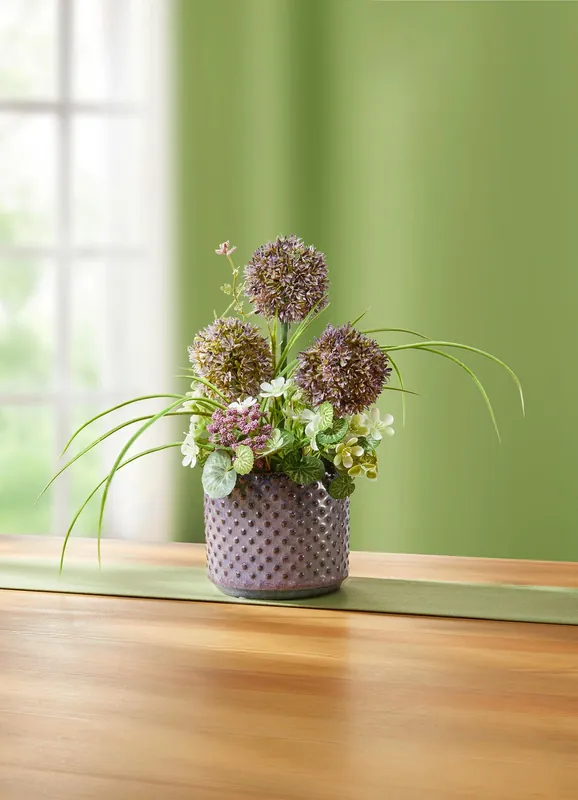 Allium-Gesteck im Topf Geprüft