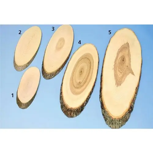 Rindenholzplatte Holz oval L 320 mm Meistverkauft