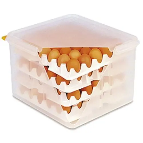 Sonderaktion Eierbox GN 2/3 transparent mit Deckel 354 mm B 325 mm